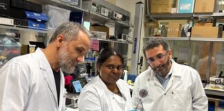 scientists-develop-paper-based-test-for-infectious-diseases