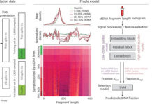 scientists-develop-ai-powered-blood-test-to-track-cancer-faster