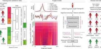 scientists-develop-ai-powered-blood-test-to-track-cancer-faster