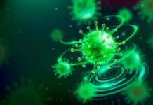 study-reveals-90-antibiotic-resistance-in-typhoid-bacteria