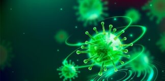 study-reveals-90-antibiotic-resistance-in-typhoid-bacteria