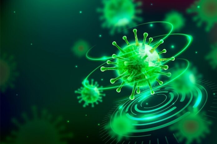 study-reveals-90-antibiotic-resistance-in-typhoid-bacteria