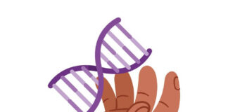 the-vanishing-y-chromosome-what-it-means-for-mens-health
