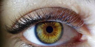 what-your-eyes-can-reveal-about-your-health
