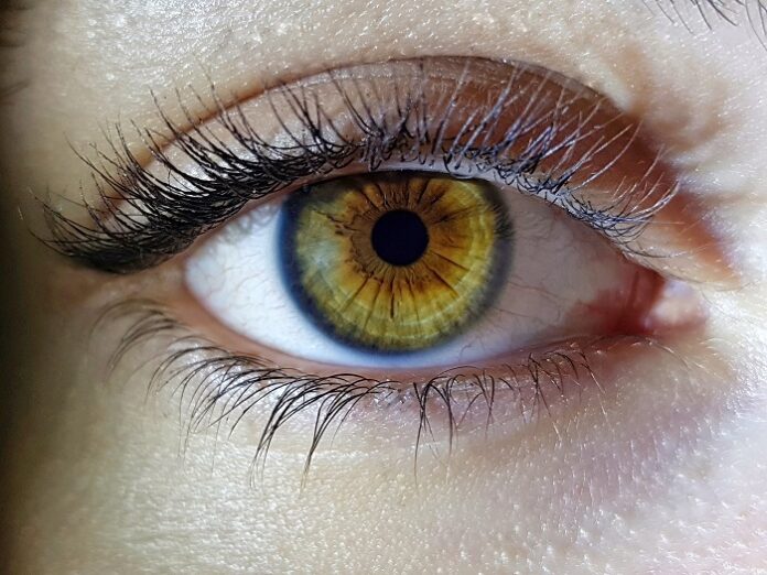 What Your Eyes Can Reveal About Your Health? what-your-eyes-can-reveal-about-your-health