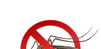 andhra-pradesh-to-launch-ai-powered-mosquito-control-pilot-programme