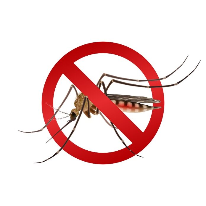 andhra-pradesh-to-launch-ai-powered-mosquito-control-pilot-programme
