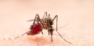 city-records-884-malaria-cases-in-june-2025-double-2024
