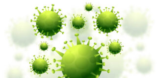 nipah-contact-list-grows-to-675-across-kerala