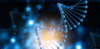 lipid-nanoparticles-offer-hope-for-rare-lung-and-liver-disorder