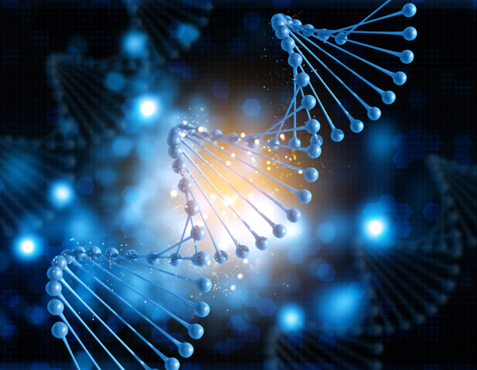 Lipid Nanoparticles Offer Hope for Rare Lung and Liver Disorder lipid-nanoparticles-offer-hope-for-rare-lung-and-liver-disorder