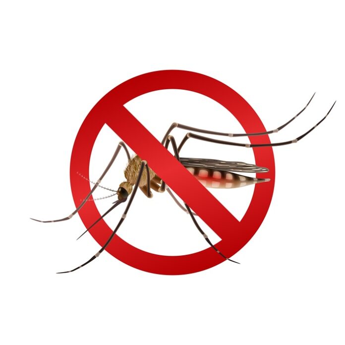 Suriname Declared Malaria-Free by WHO After 70-Year Battle suriname-declared-malaria-free-by-who-after-70-year-battle