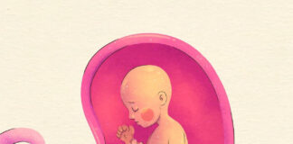 uk-scientists-use-three-person-ivf-to-prevent-genetic-diseases-in-babies