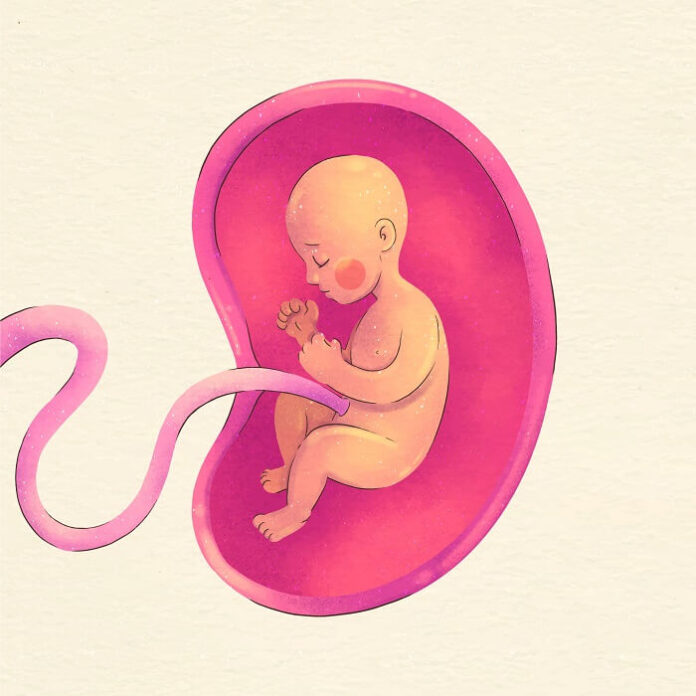 UK Scientists Use Three-Person IVF to Prevent Genetic Diseases uk-scientists-use-three-person-ivf-to-prevent-genetic-diseases-in-babies
