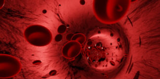 covid-may-accelerate-blood-vessel-ageing-especially-in-women