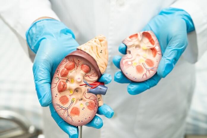 five-year-old-among-indias-lightest-kidney-transplant-recipients
