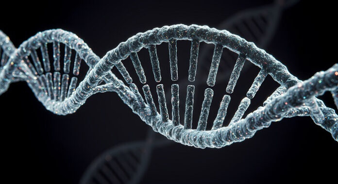 Genes Linked to Breast Cancer Found Crucial for Heart Health genes-linked-to-breast-cancer-found-crucial-for-heart-health