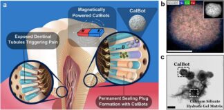iisc-and-theranautilus-develop-nanobots-for-tooth-sensitivity