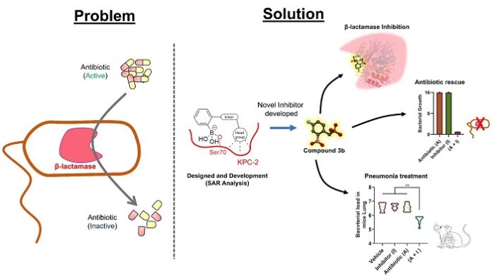 IIT Roorkee Develops Breakthrough Drug to Combat Superbugs iit-roorkee-develops-breakthrough-drug-to-combat-superbugs