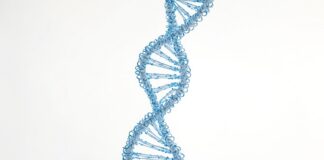 microbial-cfdna-shows-90-accuracy-differentiating-tumors