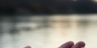 microplastics-in-our-bodies-lancet-highlights-health-concerns