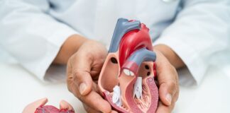 rare-transcatheter-valve-replacement-offers-new-hope