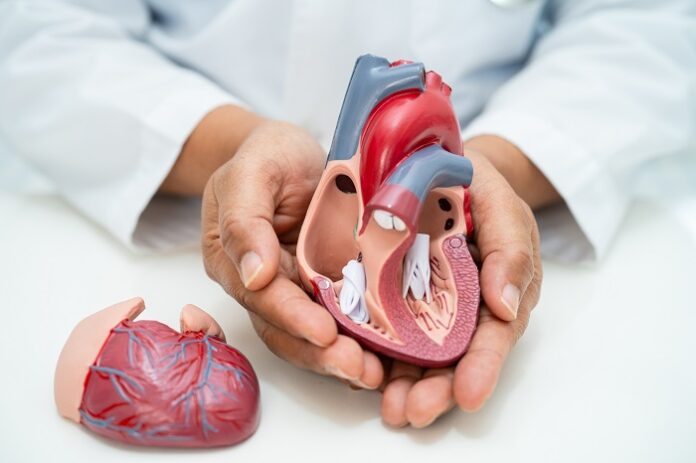 rare-transcatheter-valve-replacement-offers-new-hope