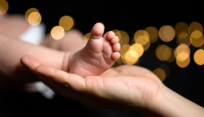 Doctors Remove Rare Parasitic Twins from Infant in Gurgaon doctors-remove-rare-parasitic-twins-from-infant-in-gurgaon