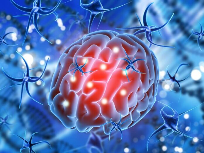 Indian Scientists Create Nanomaterial to Stimulate Brain Cells indian-scientists-create-nanomaterial-to-stimulate-brain-cells
