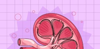 kidney-cancer-cases-expected-to-double-by-2050
