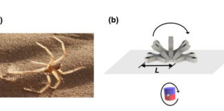 researchers-develop-soft-magnetic-robots-for-invasive-gi-care