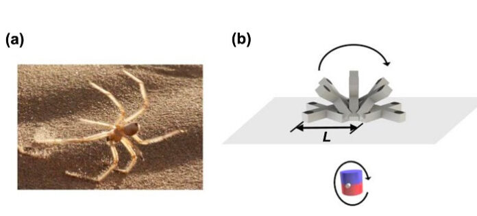 Researchers Develop Soft Magnetic Robots for Invasive GI Care researchers-develop-soft-magnetic-robots-for-invasive-gi-care