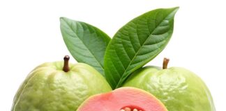 guava-compound-offers-new-hope-against-liver-cancer