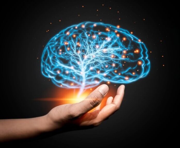 men-show-more-widespread-brain-decline-yet-women-face-higher-alzheimers-rates