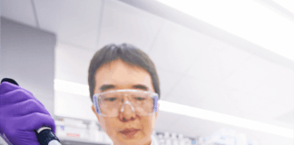 merck-and-promega-innovate-3d-drug-screening-models