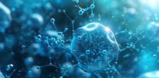 nanotechnology-reverses-alzheimers-in-mice