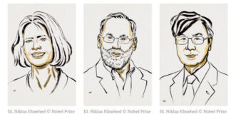 peripheral-immune-tolerance-2025-nobel-prize-immunology