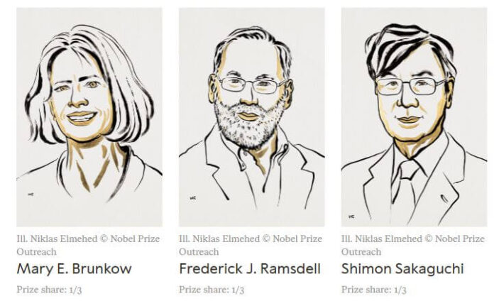 Peripheral Immune Tolerance: 2025 Nobel Prize Immunology peripheral-immune-tolerance-2025-nobel-prize-immunology