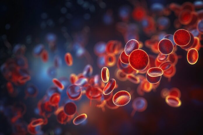 scientists-discover-key-protein-that-reverses-age-related-blood-stem-cell-decline