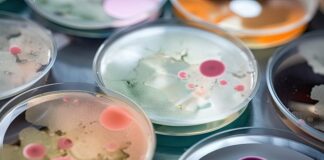 lancet-study-warns-of-alarming-rise-in-superbugs-in-india