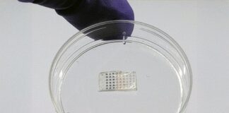 mit-engineers-develop-programmable-heart-patch-to-heal-damaged-cardiac-tissue
