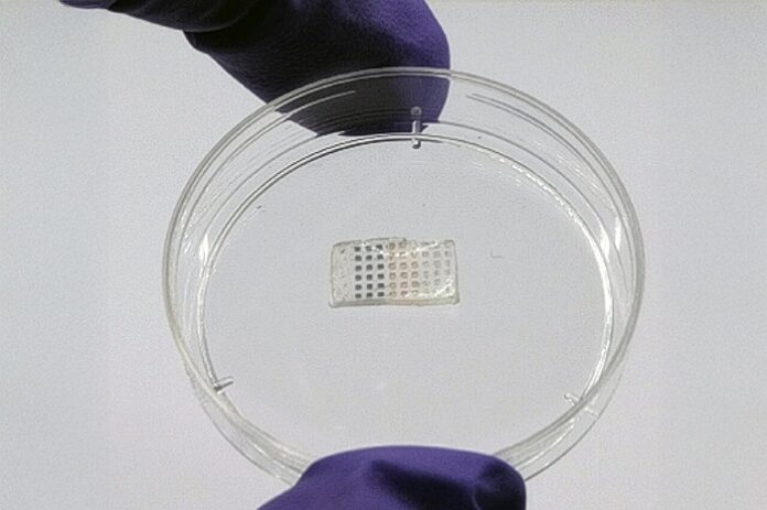 MIT Engineers Develop Programmable Heart Patch to Heal Damaged Cardiac Tissue mit-engineers-develop-programmable-heart-patch-to-heal-damaged-cardiac-tissue