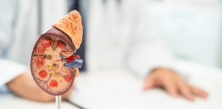 madras-medical-college-study-links-heat-to-kidney-damage