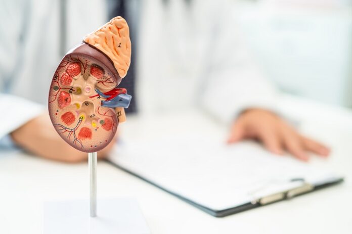 Madras Medical College Study Links Heat to Kidney Damage madras-medical-college-study-links-heat-to-kidney-damage