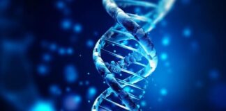 new-genetic-insights-shed-light-on-recurrent-pregnancy-loss
