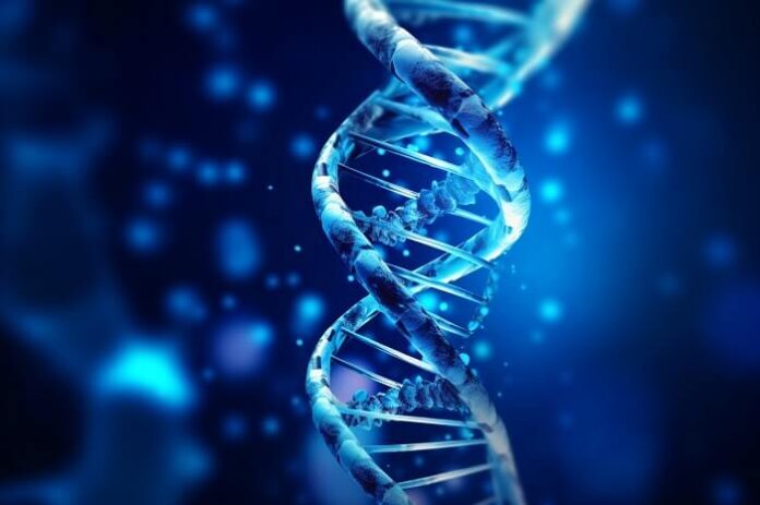 New Genetic Insights Shed Light on Recurrent Pregnancy Loss new-genetic-insights-shed-light-on-recurrent-pregnancy-loss