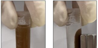 novel-bacterial-sensor-to-replace-invasive-colonoscopies