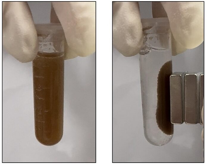 Novel Bacterial Sensor to Replace Invasive Colonoscopies novel-bacterial-sensor-to-replace-invasive-colonoscopies