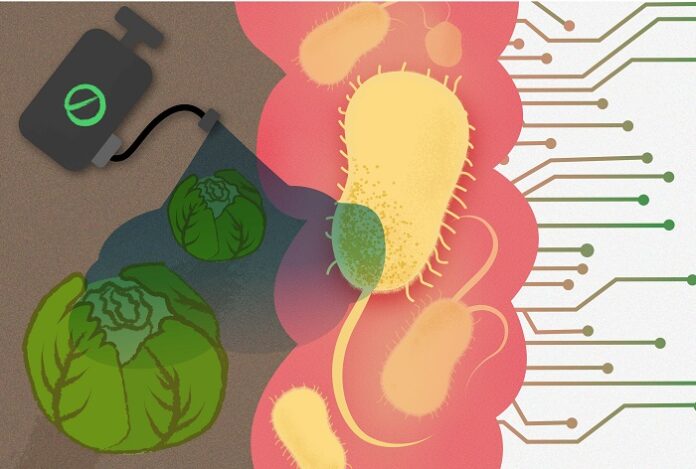 Study Finds Everyday Chemicals Harmful to Human Gut Bacteria study-finds-everyday-chemicals-harmful-to-human-gut-bacteria