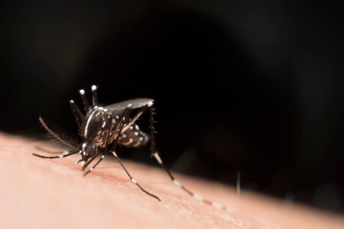 amit-shah-highlights-sharp-decline-in-malaria-cases